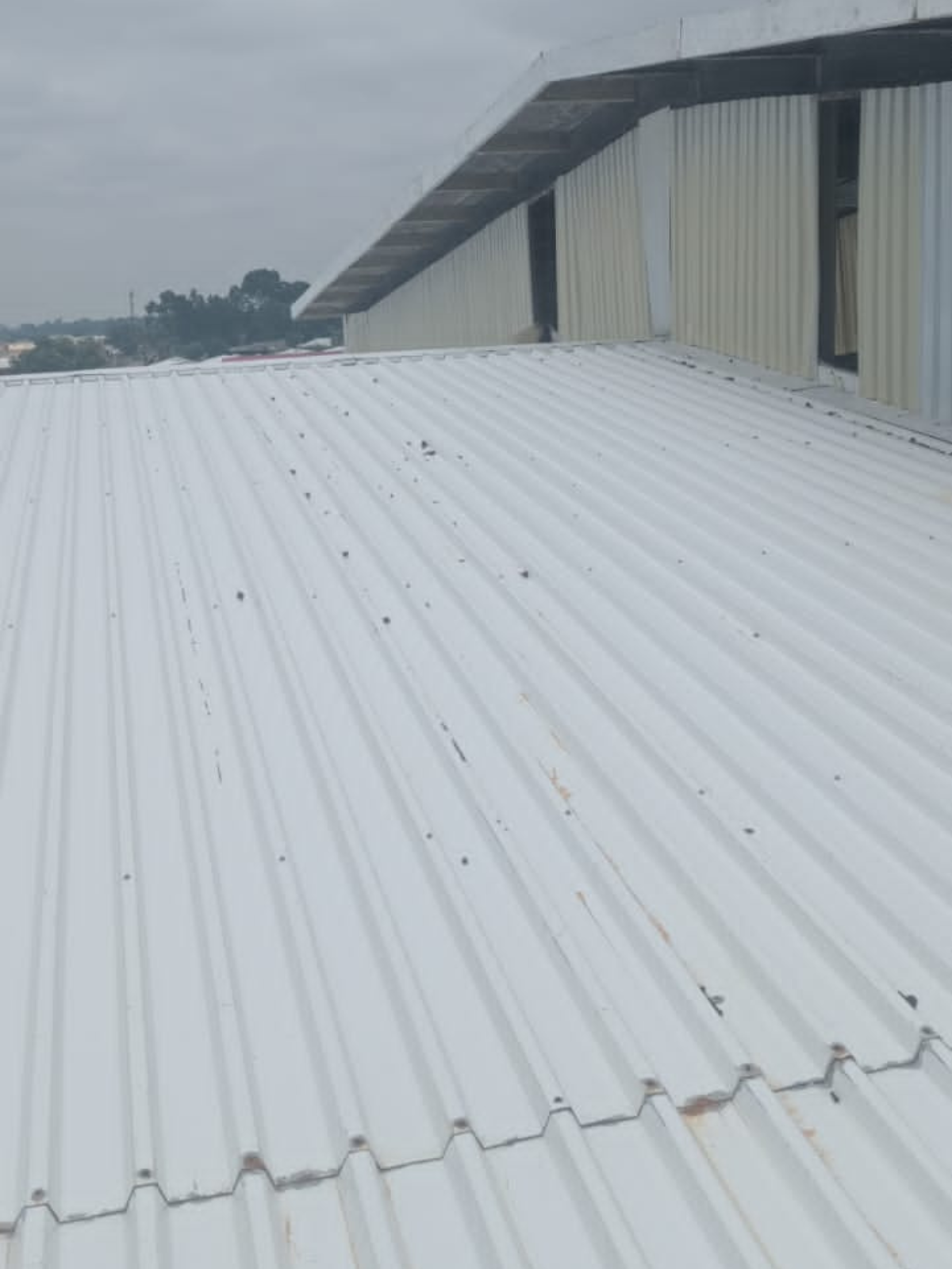 Replacement of the entire roof of a warehouse