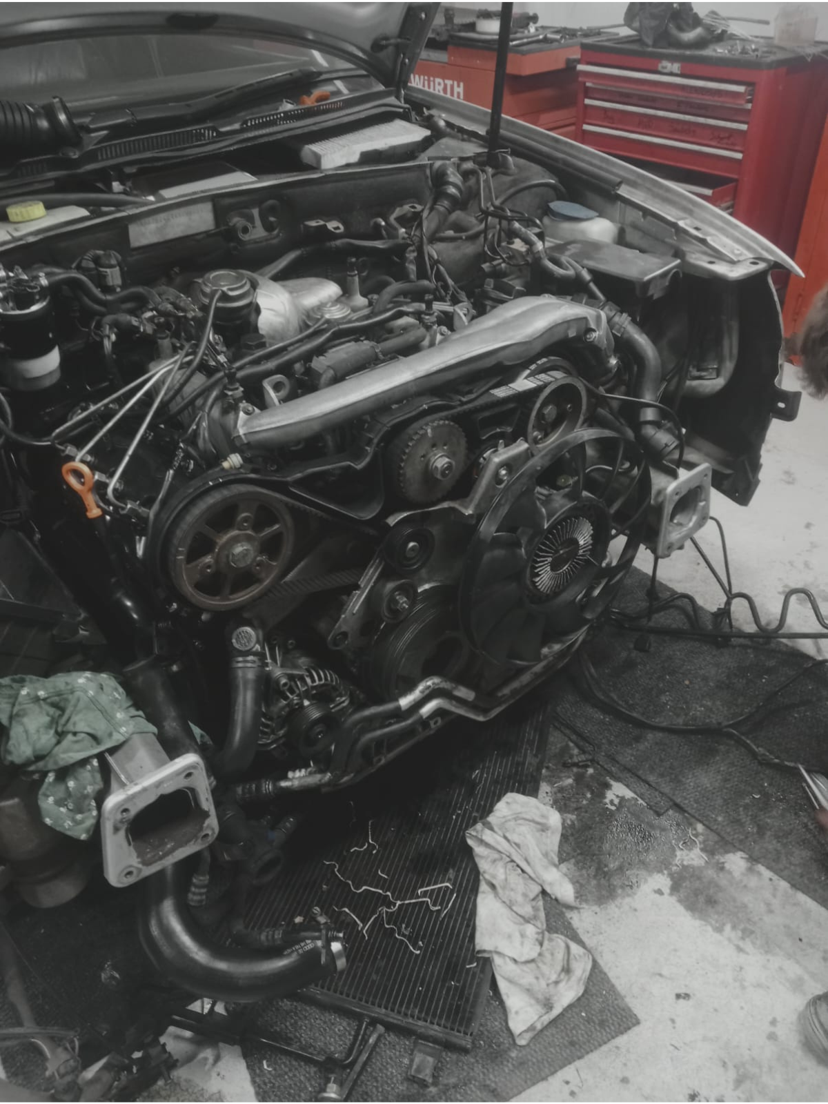 timing chain and new idlers on a car engine